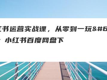 小红书运营实战课，从零到一玩��小红书百度网盘下载