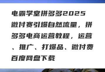 电霸学堂拼多多2025微付赛引爆自然流量，拼多多电商运营教程，运营、推广、打爆品、微付费百度网盘下载
