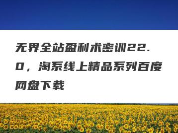 无界全站盈利术密训22.0，淘系线上精品系列百度网盘下载