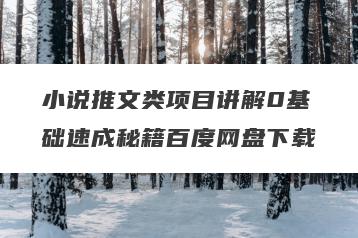 小说推文类项目讲解0基础速成秘籍百度网盘下载