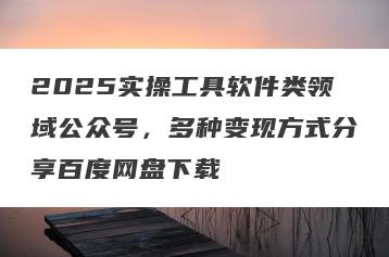 2025实操工具软件类领域公众号，多种变现方式分享百度网盘下载