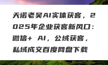 天诺老吴AI实体获客，2025年企业获客新风口：微信+ AI，公域获客，私域成交百度网盘下载