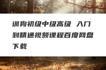 训狗初级中级高级 入门到精通视频课程百度网盘下载