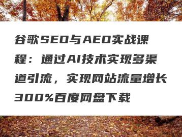 谷歌SEO与AEO实战课程：通过AI技术实现多渠道引流，实现网站流量增长300%百度网盘下载