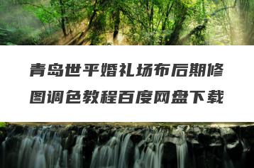 青岛世平婚礼场布后期修图调色教程百度网盘下载