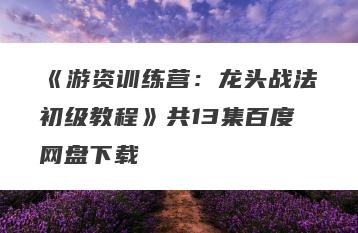 《游资训练营：龙头战法初级教程》共13集百度网盘下载
