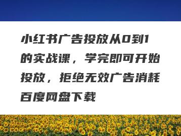 小红书广告投放从0到1的实战课，学完即可开始投放，拒绝无效广告消耗百度网盘下载