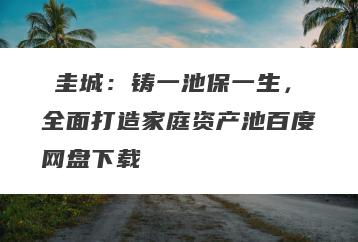 垚圭城：铸一池保一生，全面打造家庭资产池百度网盘下载