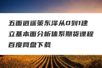 五面逍遥策东泽从0到1建立基本面分析体系期货课程百度网盘下载