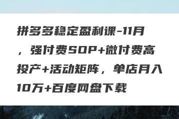 拼多多稳定盈利课-11月，强付费SOP+微付费高投产+活动矩阵，单店月入10万+百度网盘下载