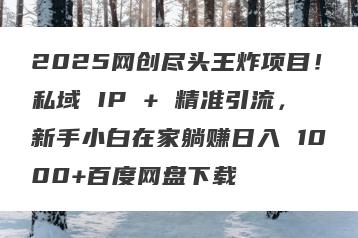 2025网创尽头王炸项目！私域 IP + 精准引流，新手小白在家躺赚日入 1000+百度网盘下载
