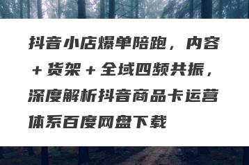 抖音小店爆单陪跑，内容＋货架＋全域四频共振，深度解析抖音商品卡运营体系百度网盘下载