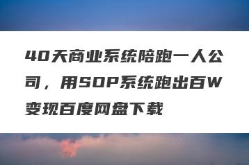 40天商业系统陪跑一人公司，用SOP系统跑出百W变现百度网盘下载
