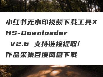 小红书无水印视频下载工具XHS-Downloader V2.6 支持链接提取/作品采集百度网盘下载