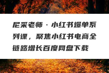 尼采老师·小红书爆单系列课，聚焦小红书电商全链路增长百度网盘下载