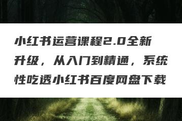 小红书运营课程2.0全新升级，从入门到精通，系统性吃透小红书百度网盘下载