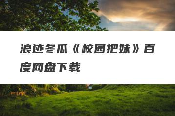 浪迹冬瓜《校园把妹》百度网盘下载