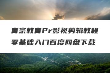 育宗教育Pr影视剪辑教程零基础入门百度网盘下载
