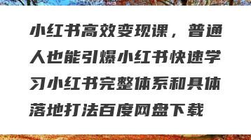 小红书高效变现课，普通人也能引爆小红书快速学习小红书完整体系和具体落地打法百度网盘下载