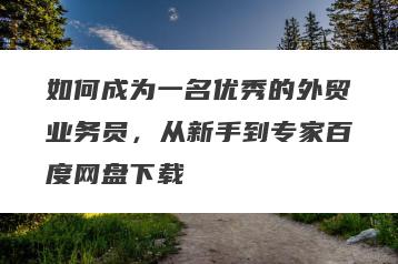 如何成为一名优秀的外贸业务员，从新手到专家百度网盘下载
