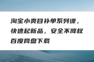 淘宝小类目补单系列课，快速起新品，安全不降权百度网盘下载