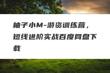 柚子小M-游资训练营，短线进阶实战百度网盘下载
