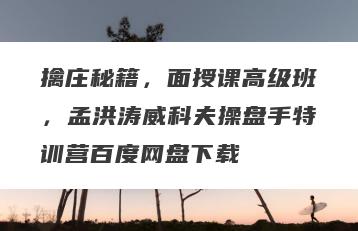 擒庄秘籍，面授课高级班，孟洪涛威科夫操盘手特训营百度网盘下载
