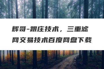 辉哥-跟庄技术，三重滤网交易技术百度网盘下载