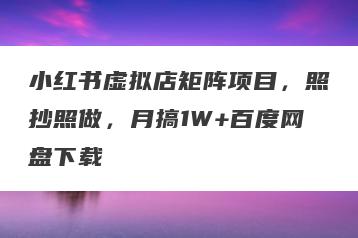 小红书虚拟店矩阵项目，照抄照做，月搞1W+百度网盘下载