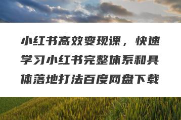 小红书高效变现课，快速学习小红书完整体系和具体落地打法百度网盘下载