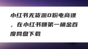 小红书无货源0粉电商课，在小红书赚第一桶金百度网盘下载