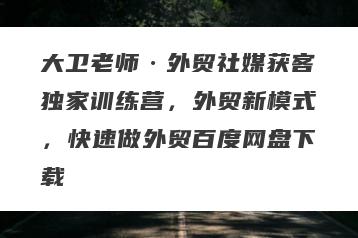 大卫老师·外贸社媒获客独家训练营，外贸新模式，快速做外贸百度网盘下载