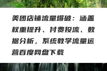 美团店铺流量爆破：涵盖权重提升、付费投流、数据分析，系统教学流量运营百度网盘下载