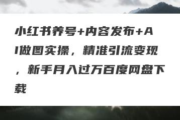 小红书养号+内容发布+AI做图实操，精准引流变现，新手月入过万百度网盘下载