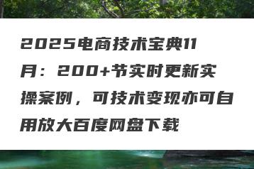 2025电商技术宝典11月：200+节实时更新实操案例，可技术变现亦可自用放大百度网盘下载