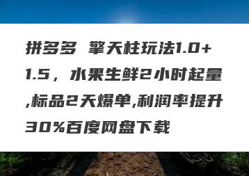 拼多多 擎天柱玩法1.0+1.5，水果生鲜2小时起量,标品2天爆单,利润率提升30%百度网盘下载