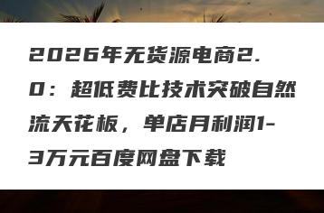 2026年无货源电商2.0：超低费比技术突破自然流天花板，单店月利润1-3万元百度网盘下载
