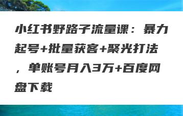 小红书野路子流量课：暴力起号+批量获客+聚光打法，单账号月入3万+百度网盘下载