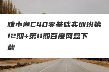 腾小渔C4D零基础实训班第12期+第11期百度网盘下载