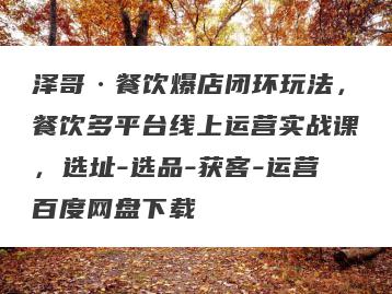 泽哥·餐饮爆店闭环玩法，餐饮多平台线上运营实战课，选址-选品-获客-运营百度网盘下载