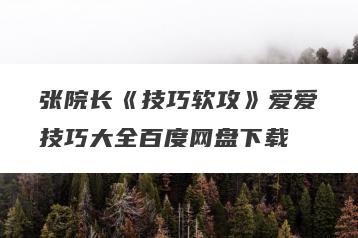 张院长《技巧软攻》爱爱技巧大全百度网盘下载