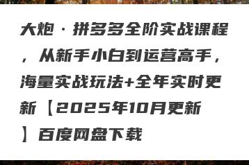 大炮·拼多多全阶实战课程，从新手小白到运营高手，海量实战玩法+全年实时更新【2025年10月更新】百度网盘下载