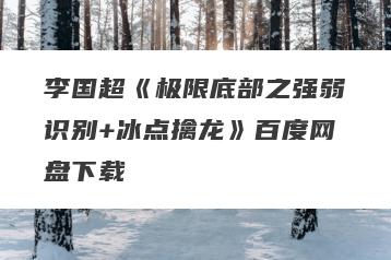 李国超《极限底部之强弱识别+冰点擒龙》百度网盘下载
