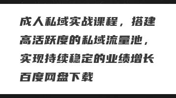 成人私域实战课程，搭建高活跃度的私域流量池，实现持续稳定的业绩增长百度网盘下载