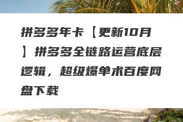 拼多多年卡【更新10月】拼多多全链路运营底层逻辑，超级爆单术百度网盘下载