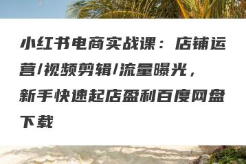 小红书电商实战课：店铺运营/视频剪辑/流量曝光，新手快速起店盈利百度网盘下载
