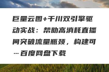巨量云图+千川双引擎驱动实战：帮助高消耗直播间突破流量瓶颈，构建可…百度网盘下载