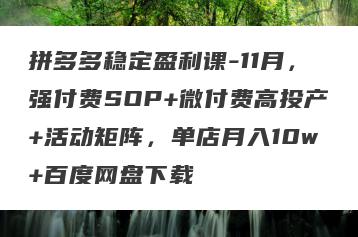 拼多多稳定盈利课-11月，强付费SOP+微付费高投产+活动矩阵，单店月入10w+百度网盘下载