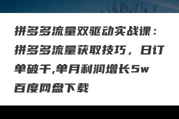 拼多多流量双驱动实战课：拼多多流量获取技巧，日订单破千,单月利润增长5w百度网盘下载