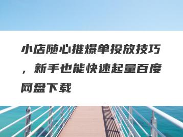 小店随心推爆单投放技巧，新手也能快速起量百度网盘下载